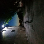 , 31
